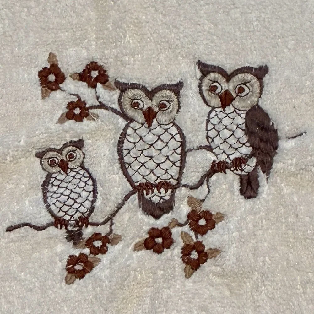 Vintage Set Embroidered Owl Bath Towel & Hand Towel R.A. Briggs Made In USA